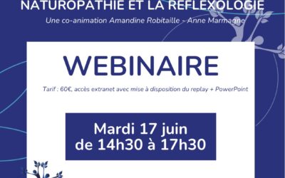 Mardi 17 juin : Webinaire Endométriose et SOPK