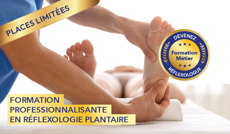 Offre Cursus Pro devenir réflexologue