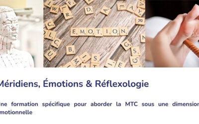 Nouvelle formation : Méridiens, Émotions & Réflexologie (session 2026)