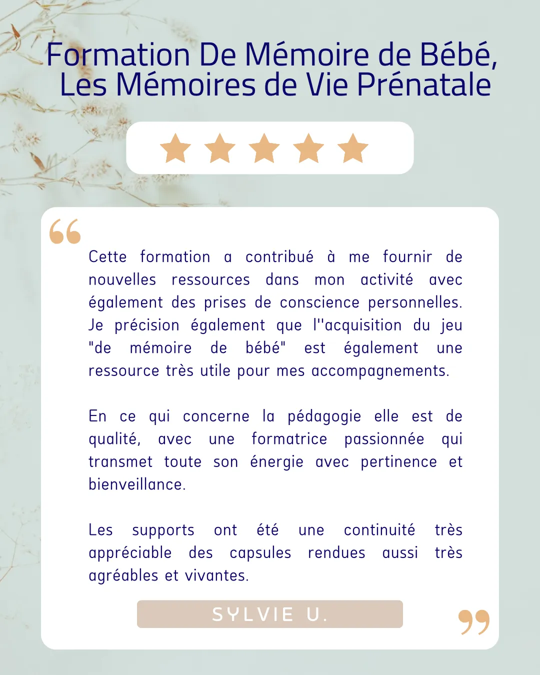 Formation De Mémoire de Bébé, Les Mémoires de Vie Prénatale